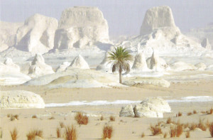  Désert Blanc en Egypte
