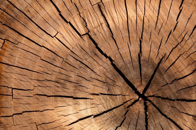 Maison à ossature bois: beaucoup d'avantages, peu d'inconvénients